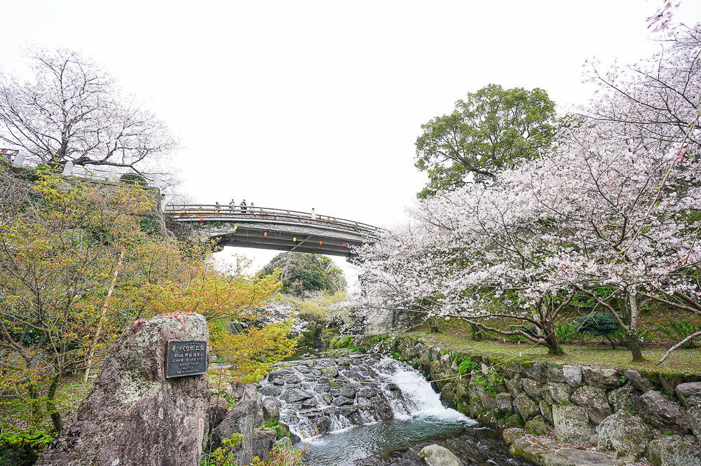 長崎景點．長崎櫻花景點「橘公園」，免費賞櫻景點！！櫻花下吃市集美食、長崎蛋糕、品日本清酒 @緹雅瑪 美食旅遊趣