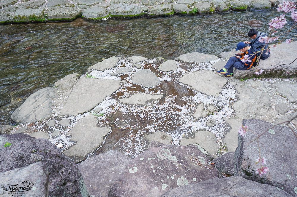 長崎景點．長崎櫻花景點「橘公園」，免費賞櫻景點！！櫻花下吃市集美食、長崎蛋糕、品日本清酒 @緹雅瑪 美食旅遊趣