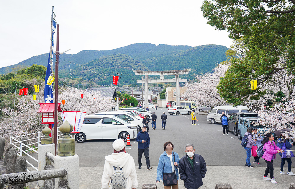長崎景點．長崎櫻花景點「橘公園」，免費賞櫻景點！！櫻花下吃市集美食、長崎蛋糕、品日本清酒 @緹雅瑪 美食旅遊趣