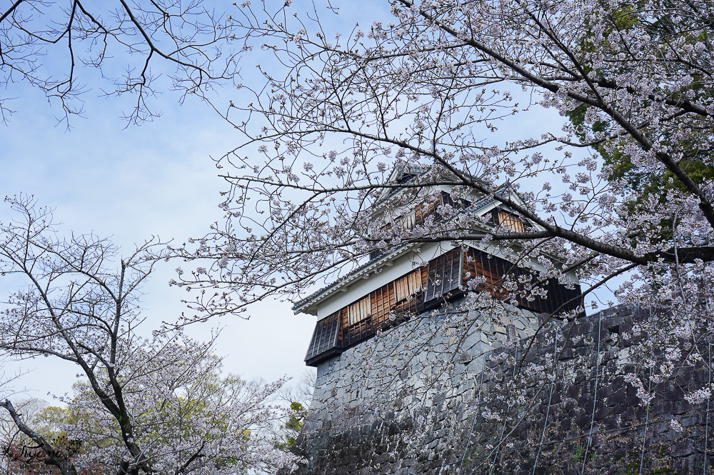 熊本城．櫻之馬場 城彩苑 完整指南攻略！！見證熊本人400年歷史的驕傲光輝之城 @緹雅瑪 美食旅遊趣