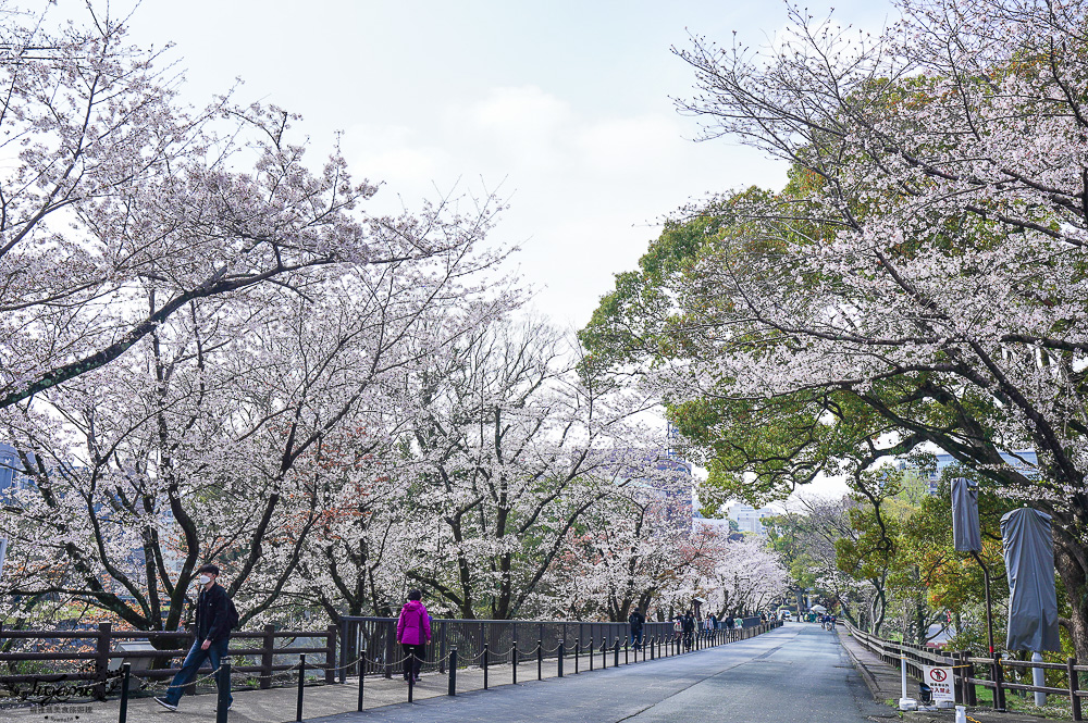 熊本城．櫻之馬場 城彩苑 完整指南攻略！！見證熊本人400年歷史的驕傲光輝之城 @緹雅瑪 美食旅遊趣
