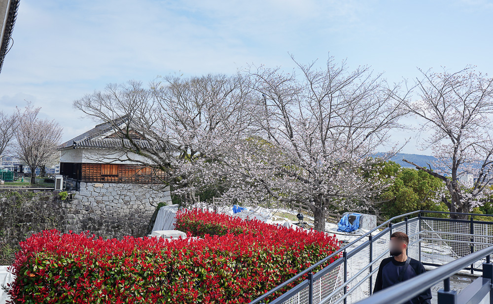 熊本城．櫻之馬場 城彩苑 完整指南攻略！！見證熊本人400年歷史的驕傲光輝之城 @緹雅瑪 美食旅遊趣