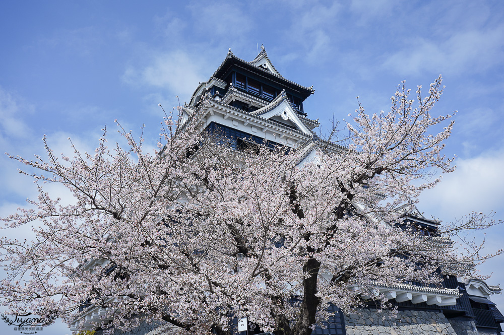 麗星郵輪．岸上光觀一日遊行程~熊本篇！熊本城、櫻之馬場 城彩苑、下通商店街、水前寺成趣園、熊本熊港八代公園 @緹雅瑪 美食旅遊趣