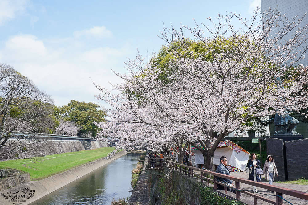 麗星郵輪．岸上光觀一日遊行程~熊本篇！熊本城、櫻之馬場 城彩苑、下通商店街、水前寺成趣園、熊本熊港八代公園 @緹雅瑪 美食旅遊趣