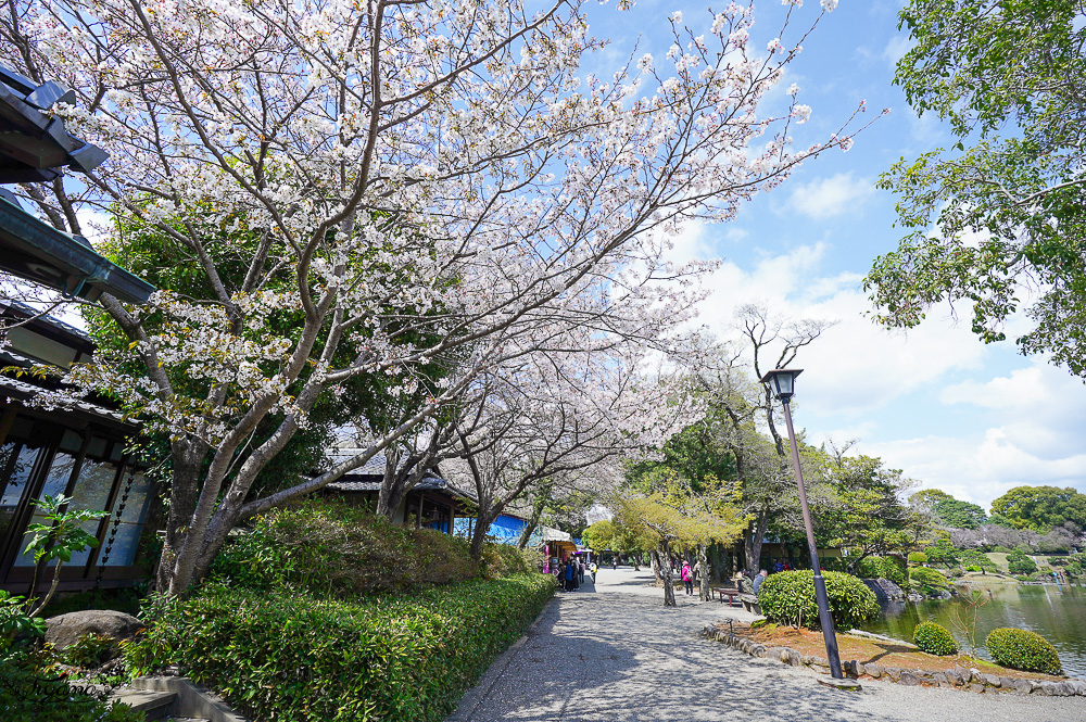 熊本必遊景點｜水前寺成趣園：江戶時期建造至今的日式庭園，熊本市區就有絕美庭園 @緹雅瑪 美食旅遊趣