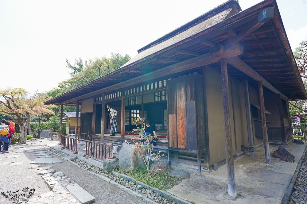 熊本景點「水前寺成趣園」二訪，江戶時期建造至今的日式庭園，熊本市區就有絕美庭園 @緹雅瑪 美食旅遊趣