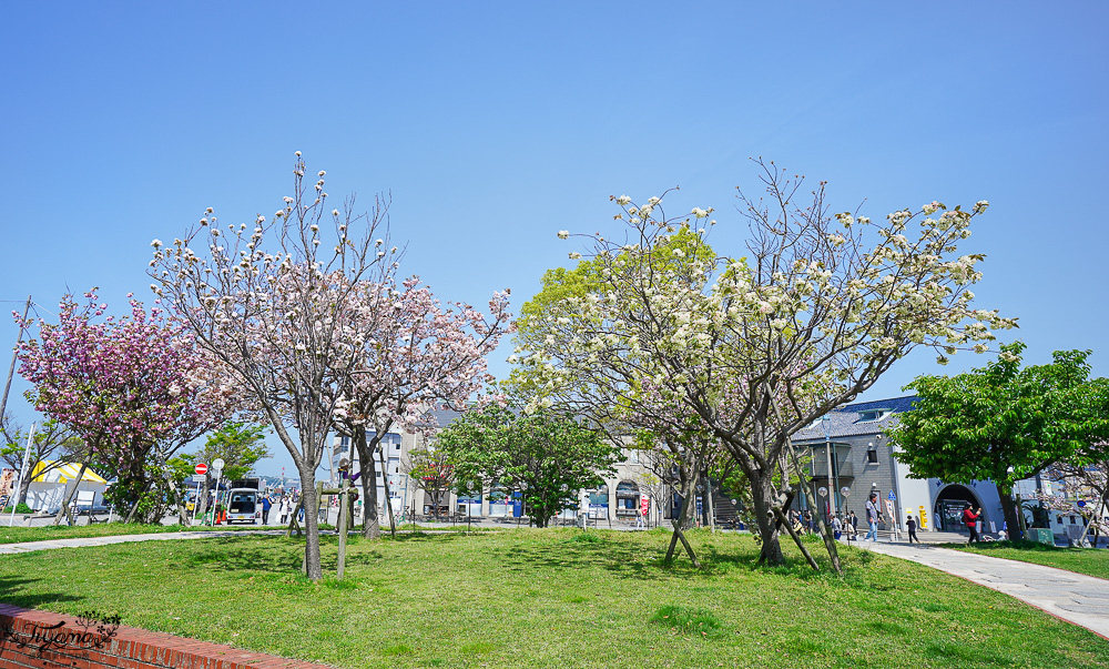 北九州一日遊｜河內藤園、門司港懷舊區散歩、THE OUTLETS KITAKYUSHU自由購物，全中文KKday專屬團~ @緹雅瑪 美食旅遊趣