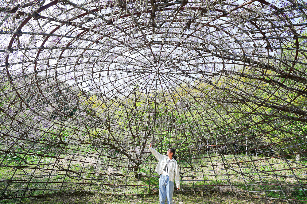 北九州一日遊｜河內藤園、門司港懷舊區散歩、THE OUTLETS KITAKYUSHU自由購物，全中文KKday專屬團~ @緹雅瑪 美食旅遊趣