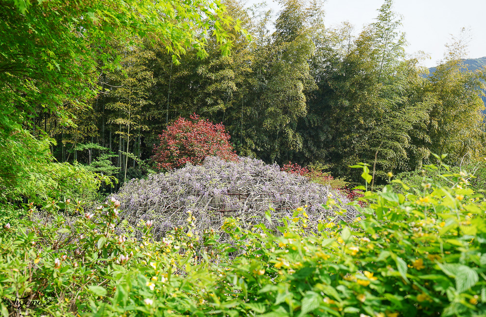 北九州一日遊｜河內藤園、門司港懷舊區散歩、THE OUTLETS KITAKYUSHU自由購物，全中文KKday專屬團~ @緹雅瑪 美食旅遊趣
