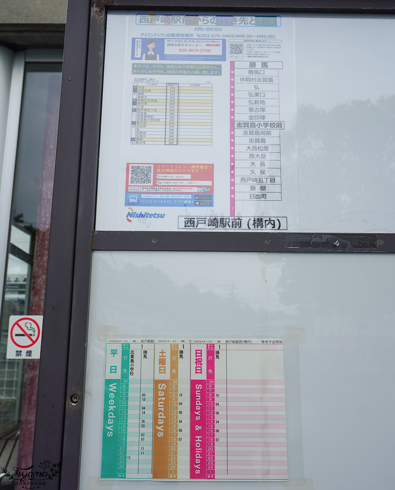 福岡採草莓園推薦，Maemura Farm前村農場40分鐘草莓吃到飽，吃得到天使白草莓~ @緹雅瑪 美食旅遊趣