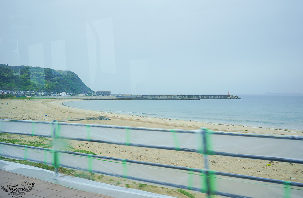 福岡採草莓園推薦，Maemura Farm前村農場40分鐘草莓吃到飽，吃得到天使白草莓~ @緹雅瑪 美食旅遊趣