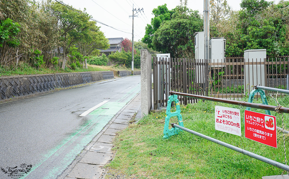 福岡採草莓園推薦，Maemura Farm前村農場40分鐘草莓吃到飽，吃得到天使白草莓~ @緹雅瑪 美食旅遊趣