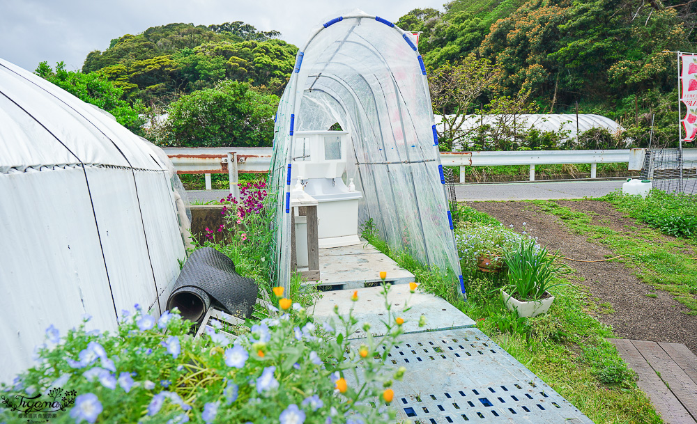 福岡採草莓園推薦，Maemura Farm前村農場40分鐘草莓吃到飽，吃得到天使白草莓~ @緹雅瑪 美食旅遊趣