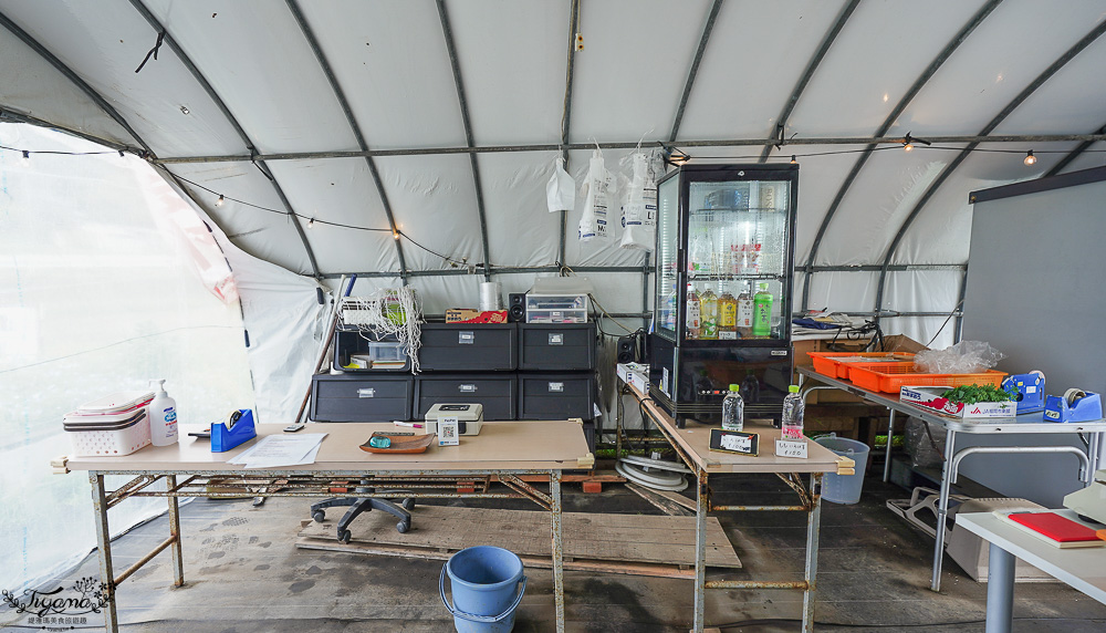 福岡採草莓園推薦，Maemura Farm前村農場40分鐘草莓吃到飽，吃得到天使白草莓~ @緹雅瑪 美食旅遊趣