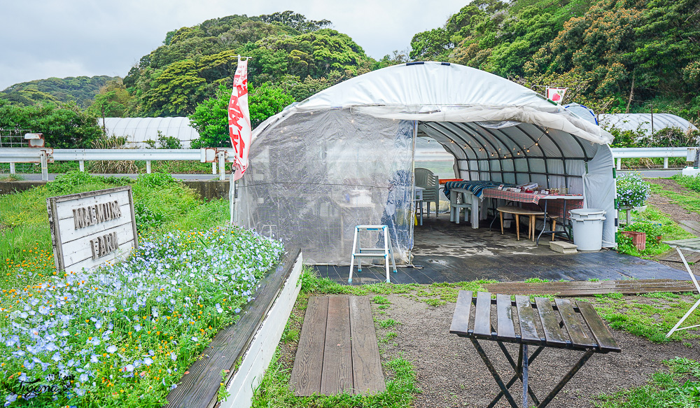福岡採草莓園推薦，Maemura Farm前村農場40分鐘草莓吃到飽，吃得到天使白草莓~ @緹雅瑪 美食旅遊趣