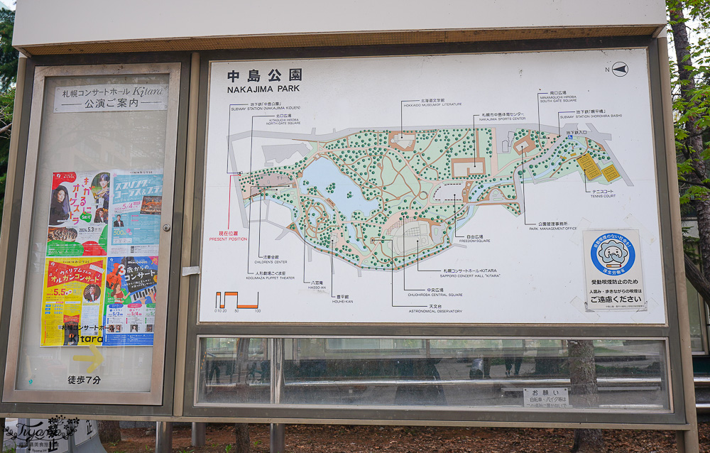 札幌賞櫻景點「中島公園」，櫻花下的豐平館、札幌市天文台，絕美櫻花步道 @緹雅瑪 美食旅遊趣