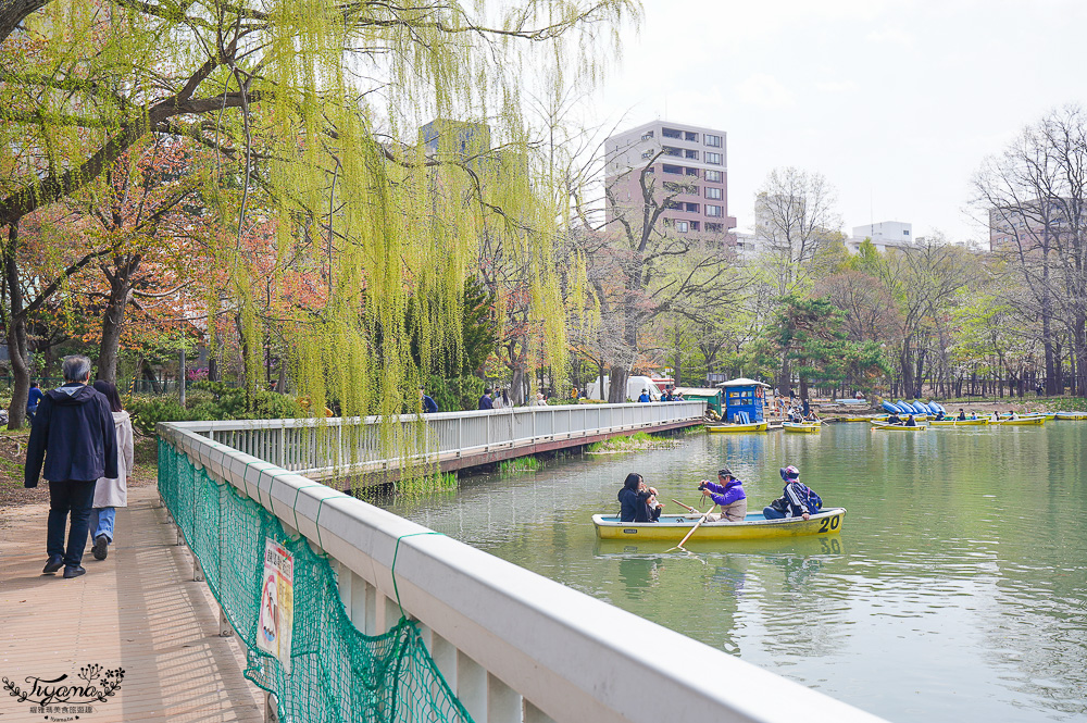 札幌賞櫻景點「中島公園」，櫻花下的豐平館、札幌市天文台，絕美櫻花步道 @緹雅瑪 美食旅遊趣
