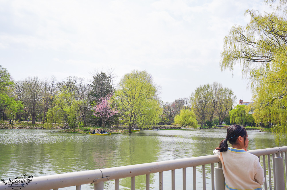 札幌賞櫻景點「中島公園」，櫻花下的豐平館、札幌市天文台，絕美櫻花步道 @緹雅瑪 美食旅遊趣