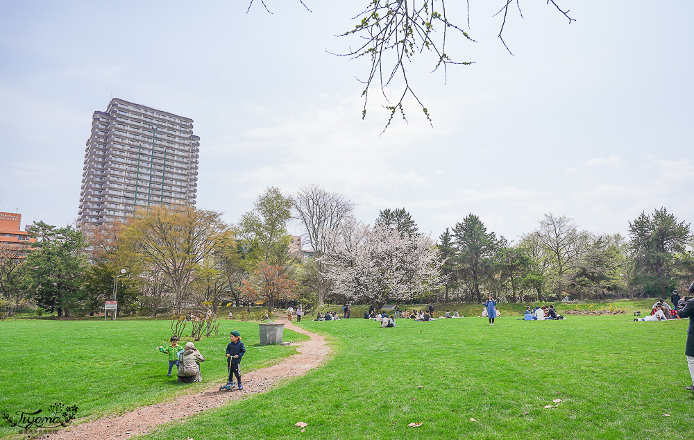 札幌賞櫻景點「中島公園」，櫻花下的豐平館、札幌市天文台，絕美櫻花步道 @緹雅瑪 美食旅遊趣