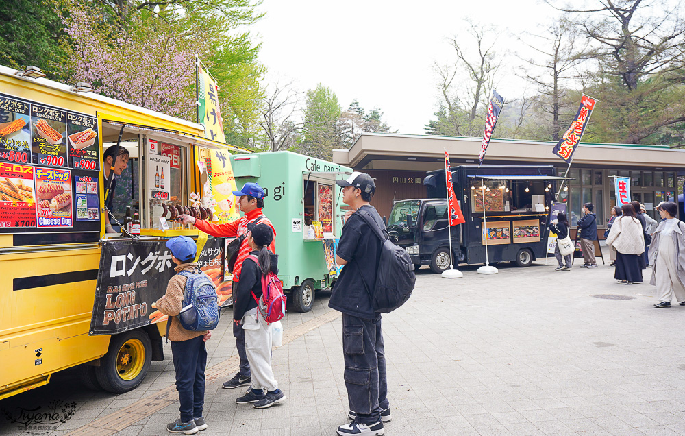 北海道札幌円山公園（圓山公園）、北海道神宮賞櫻之旅！！參拜前先吃祭典美景，賞梅.櫻花散策 @緹雅瑪 美食旅遊趣