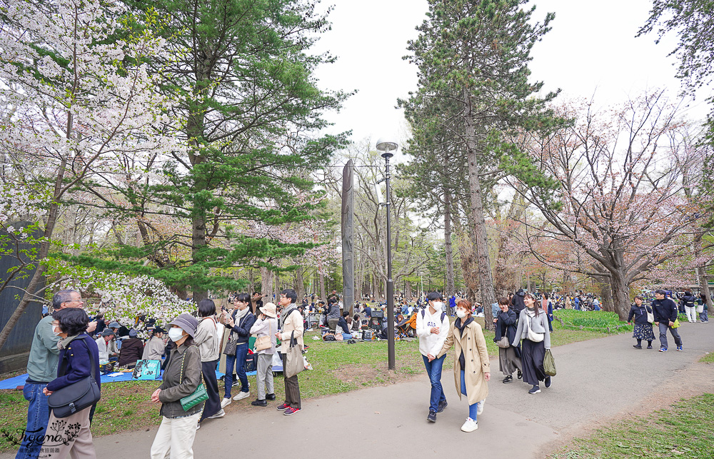 北海道札幌円山公園（圓山公園）、北海道神宮賞櫻之旅！！參拜前先吃祭典美景，賞梅.櫻花散策 @緹雅瑪 美食旅遊趣