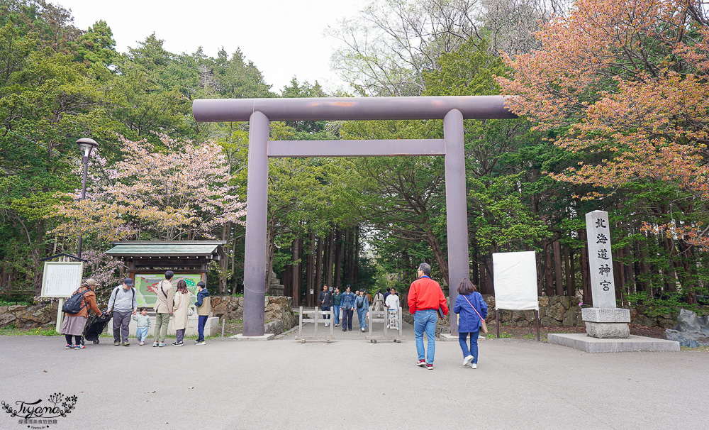 北海道札幌「北海道神宮」賞櫻之旅！！參拜前先吃祭典美景，賞梅.櫻花散策 @緹雅瑪 美食旅遊趣