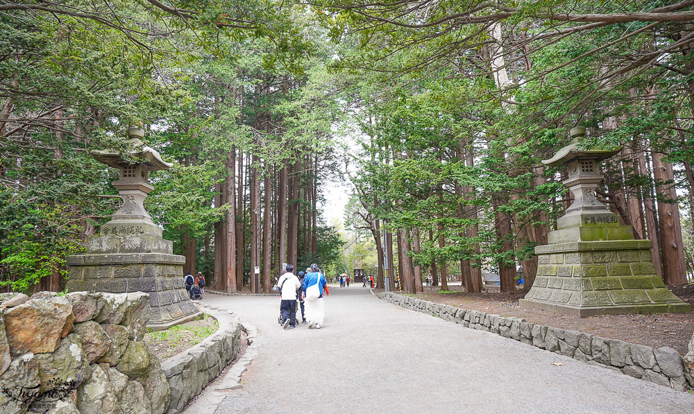 北海道札幌「北海道神宮」賞櫻之旅！！參拜前先吃祭典美景，賞梅.櫻花散策 @緹雅瑪 美食旅遊趣