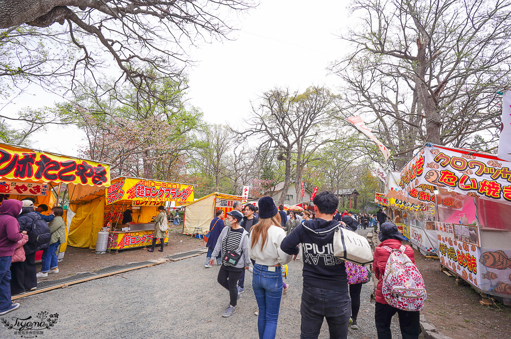 北海道札幌「北海道神宮」賞櫻之旅！！參拜前先吃祭典美景，賞梅.櫻花散策 @緹雅瑪 美食旅遊趣