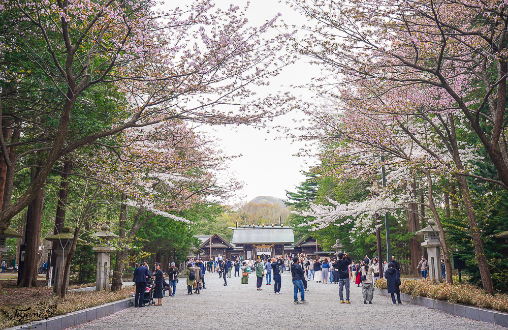 北海道札幌「北海道神宮」賞櫻之旅！！參拜前先吃祭典美景，賞梅.櫻花散策 @緹雅瑪 美食旅遊趣