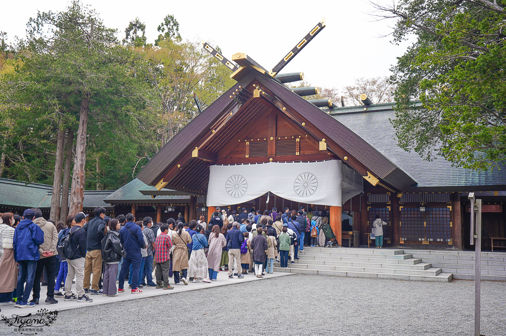 北海道札幌「北海道神宮」賞櫻之旅！！參拜前先吃祭典美景，賞梅.櫻花散策 @緹雅瑪 美食旅遊趣