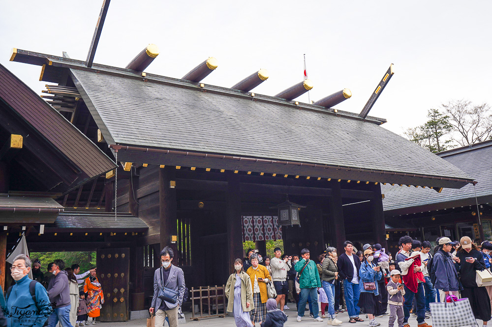 北海道札幌「北海道神宮」賞櫻之旅！！參拜前先吃祭典美景，賞梅.櫻花散策 @緹雅瑪 美食旅遊趣