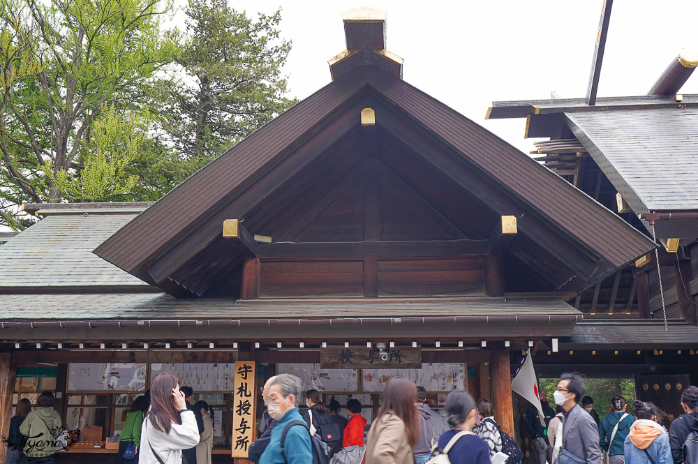 北海道札幌「北海道神宮」賞櫻之旅！！參拜前先吃祭典美景，賞梅.櫻花散策 @緹雅瑪 美食旅遊趣