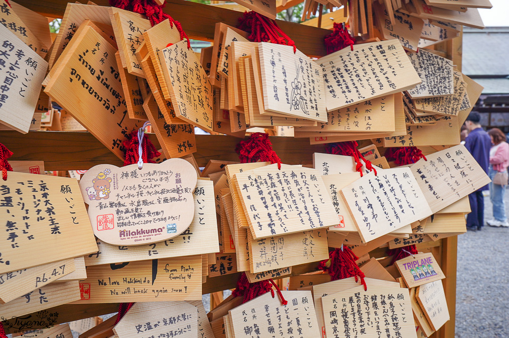 北海道札幌「北海道神宮」賞櫻之旅！！參拜前先吃祭典美景，賞梅.櫻花散策 @緹雅瑪 美食旅遊趣