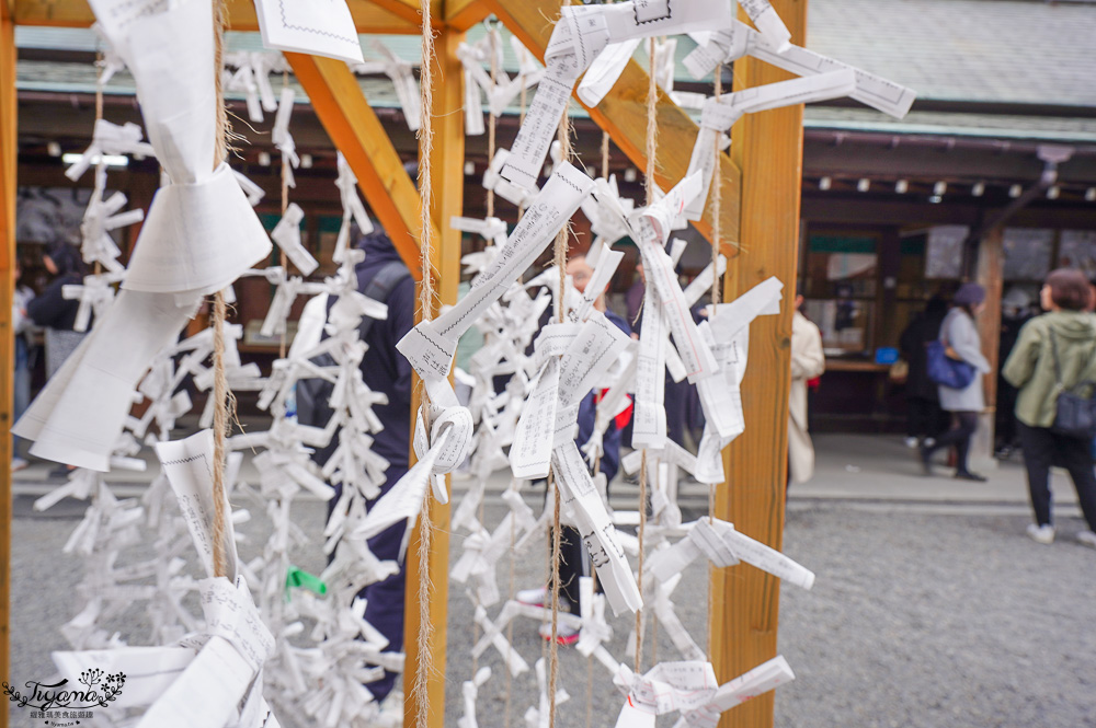 北海道札幌「北海道神宮」賞櫻之旅！！參拜前先吃祭典美景，賞梅.櫻花散策 @緹雅瑪 美食旅遊趣