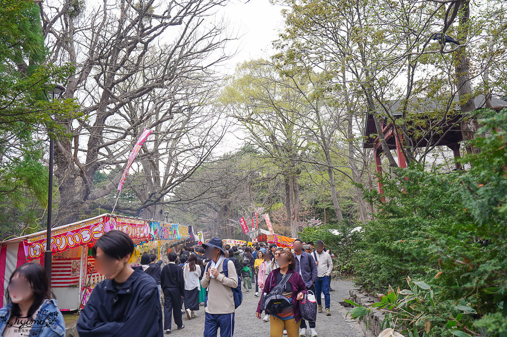 北海道札幌「北海道神宮」賞櫻之旅！！參拜前先吃祭典美景，賞梅.櫻花散策 @緹雅瑪 美食旅遊趣