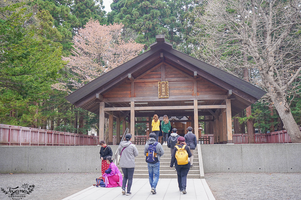北海道札幌「北海道神宮」賞櫻之旅！！參拜前先吃祭典美景，賞梅.櫻花散策 @緹雅瑪 美食旅遊趣