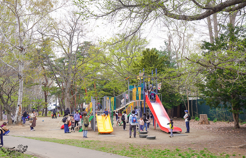 北海道札幌円山公園（圓山公園）、北海道神宮賞櫻之旅！！參拜前先吃祭典美景，賞梅.櫻花散策 @緹雅瑪 美食旅遊趣
