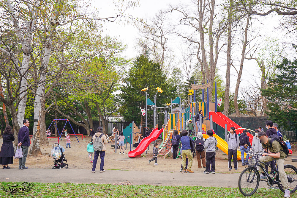 北海道札幌円山公園（圓山公園）、北海道神宮賞櫻之旅！！參拜前先吃祭典美景，賞梅.櫻花散策 @緹雅瑪 美食旅遊趣