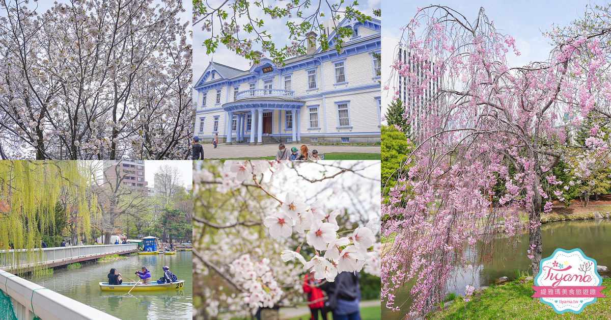札幌賞櫻景點「中島公園」，櫻花下的豐平館、札幌市天文台，絕美櫻花步道 @緹雅瑪 美食旅遊趣