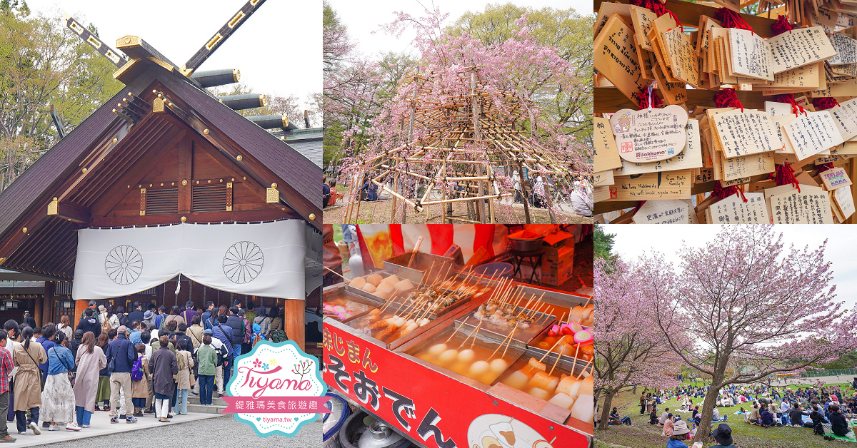 北海道札幌「北海道神宮」賞櫻之旅！！參拜前先吃祭典美景，賞梅.櫻花散策 @緹雅瑪 美食旅遊趣