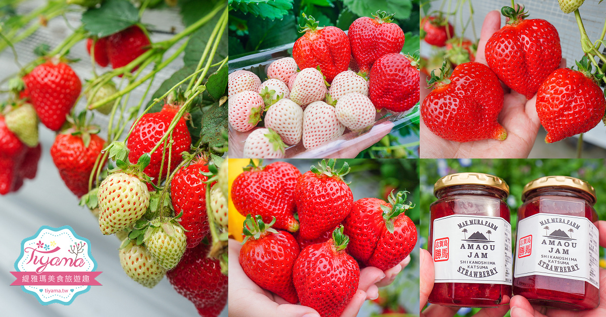 北海道夕張哈蜜瓜吃到飽｜JA夕張市 メロンドーム｜JA Yubari City Melon Dome，預約制夕張哈蜜瓜放題 @緹雅瑪 美食旅遊趣