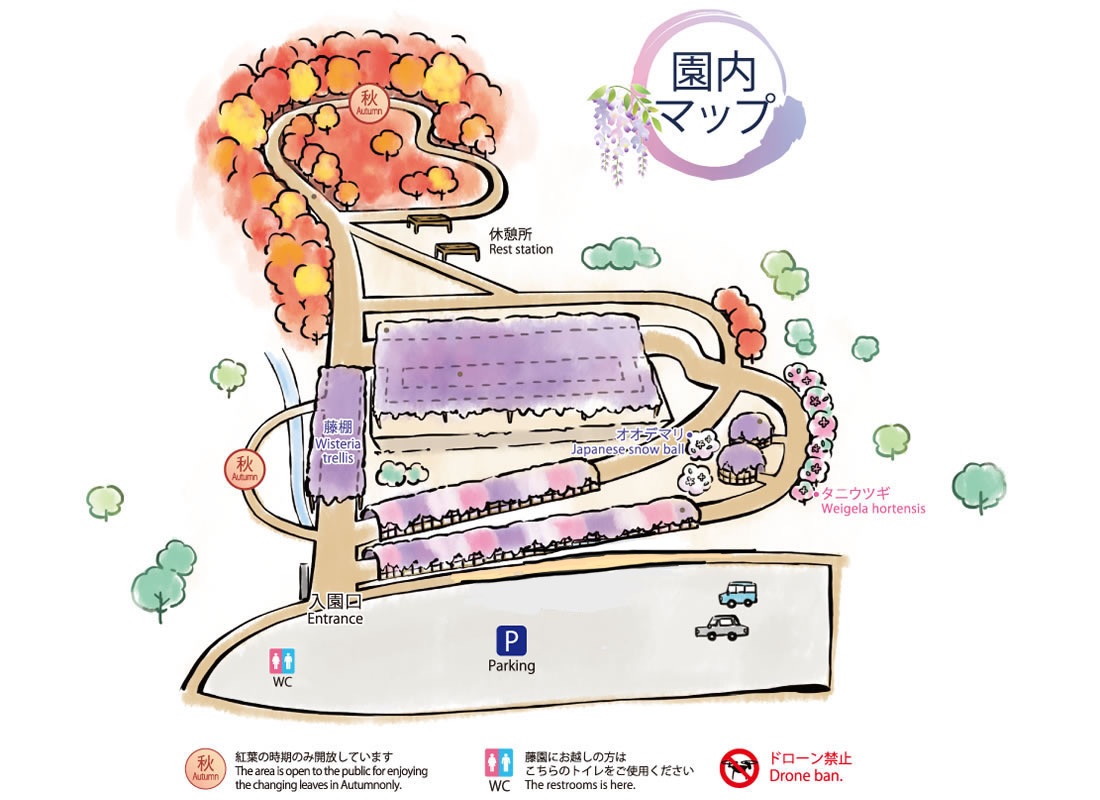 北九州一日遊｜河內藤園、門司港懷舊區散歩、THE OUTLETS KITAKYUSHU自由購物，全中文KKday專屬團~ @緹雅瑪 美食旅遊趣