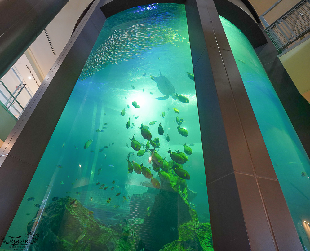 福岡博多港｜搭到海之中道、志賀島，市巴士+福岡市營渡船也方便！！ @緹雅瑪 美食旅遊趣