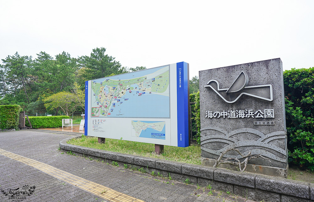 九州福岡粉蝶藍花海「海之中道海濱公園」租單車遊公園，福岡親子人氣景點 @緹雅瑪 美食旅遊趣