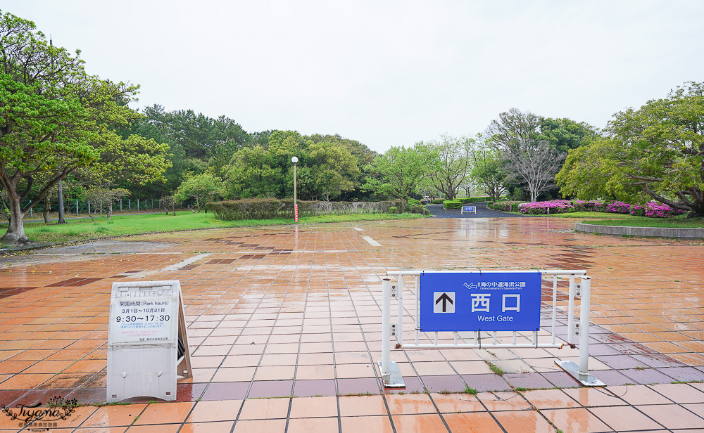 九州福岡粉蝶藍花海「海之中道海濱公園」租單車遊公園，福岡親子人氣景點 @緹雅瑪 美食旅遊趣