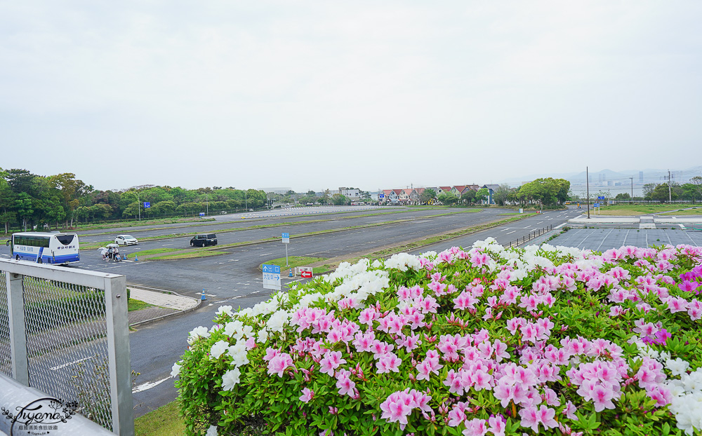 九州福岡粉蝶藍花海「海之中道海濱公園」租單車遊公園，福岡親子人氣景點 @緹雅瑪 美食旅遊趣
