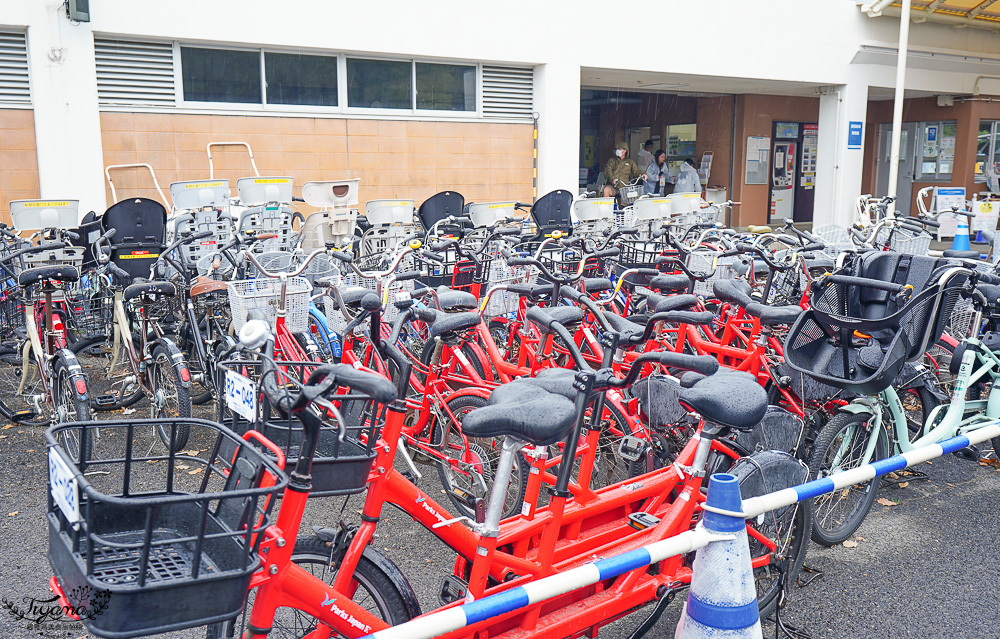 九州福岡粉蝶藍花海「海之中道海濱公園」租單車遊公園，福岡親子人氣景點 @緹雅瑪 美食旅遊趣