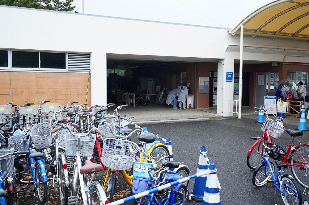 九州福岡粉蝶藍花海「海之中道海濱公園」租單車遊公園，福岡親子人氣景點 @緹雅瑪 美食旅遊趣