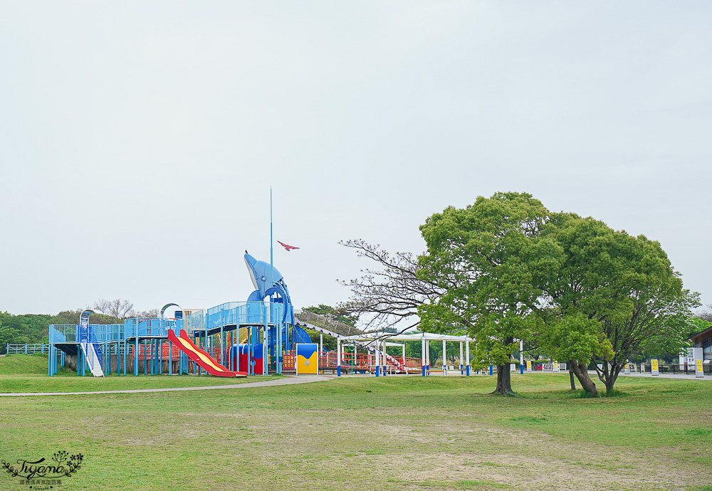 九州福岡粉蝶藍花海「海之中道海濱公園」租單車遊公園，福岡親子人氣景點 @緹雅瑪 美食旅遊趣