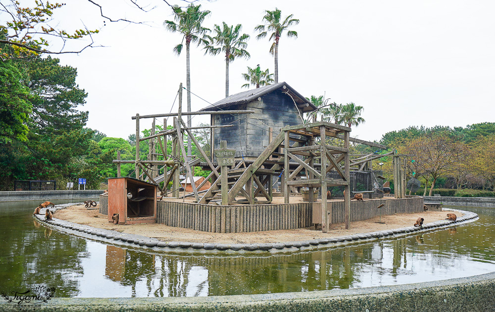 九州福岡粉蝶藍花海「海之中道海濱公園」租單車遊公園，福岡親子人氣景點 @緹雅瑪 美食旅遊趣